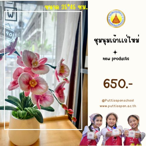 ดอกกล้วยไม้ลวดกำมะหยี่